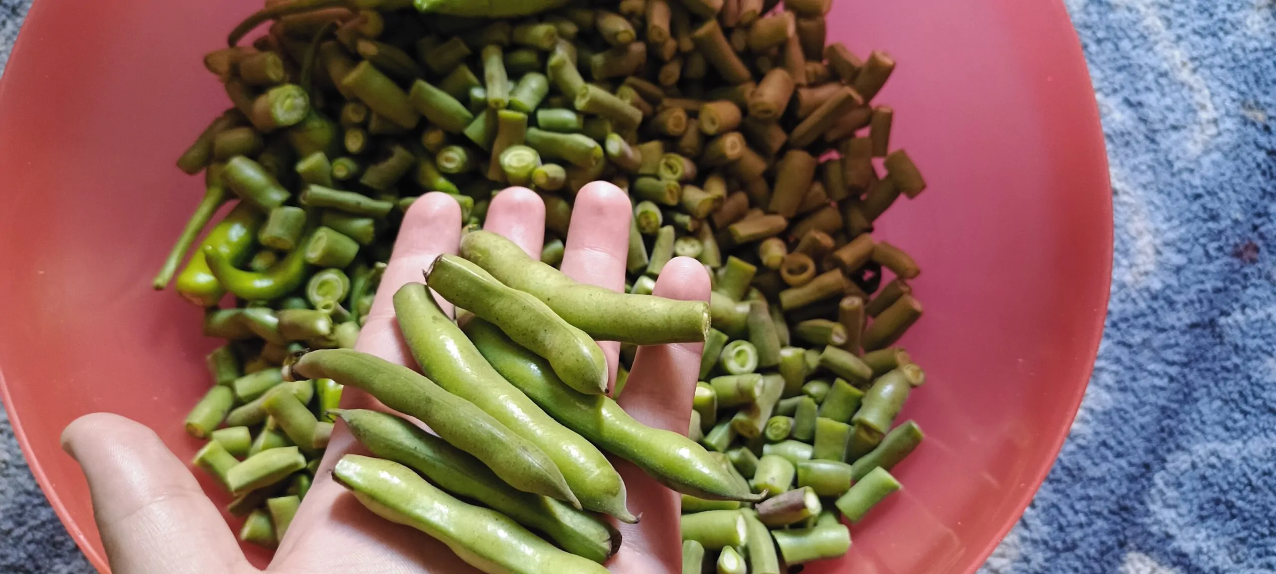 Costco Organic Edamame Review - Taste, Nutrition in 2025